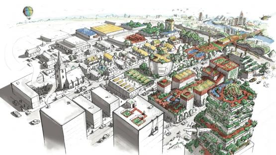 Nederland, kies voor het dak!